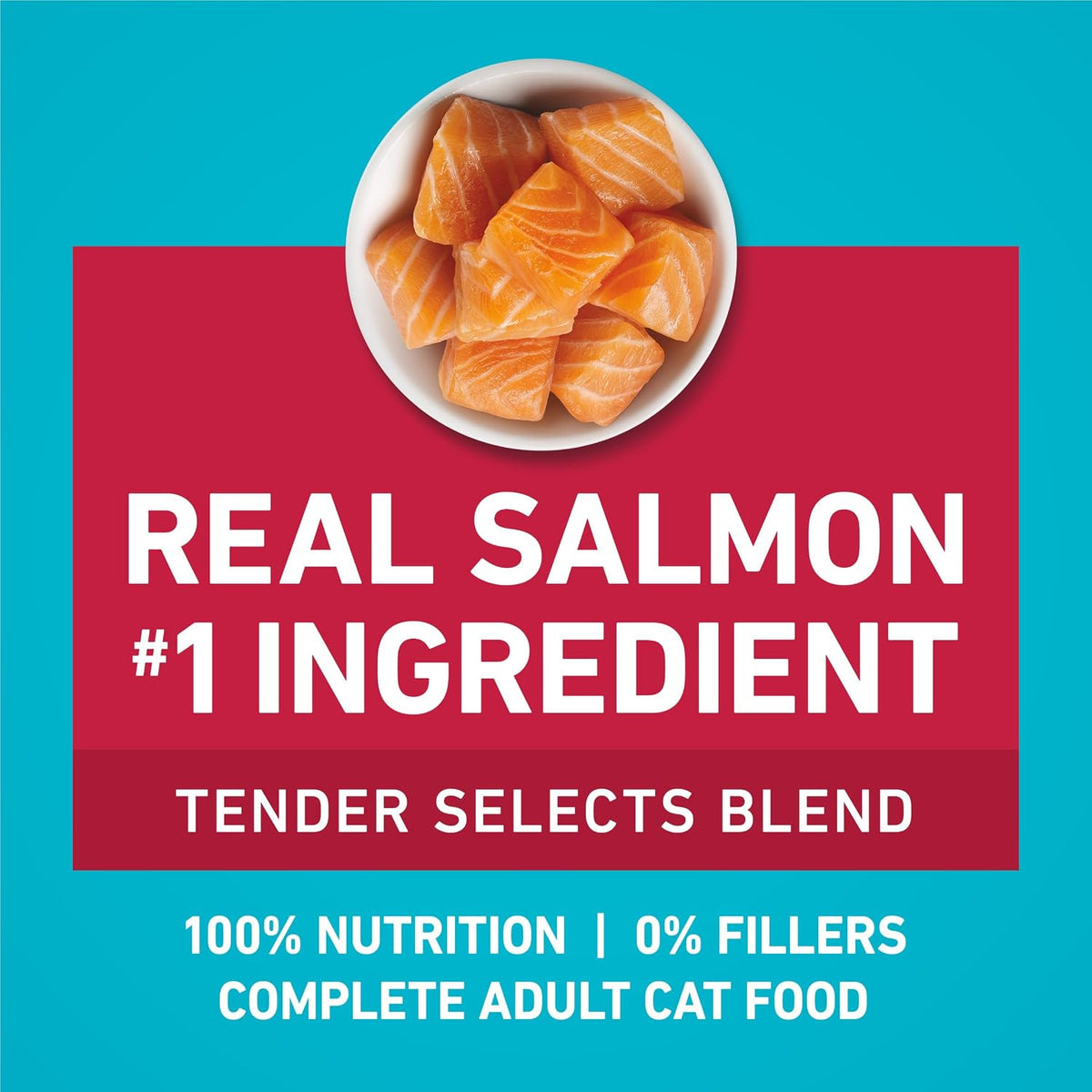 Purina ONE Tender Selects Dry Cat Food, Salmon, 7 Lb Bag