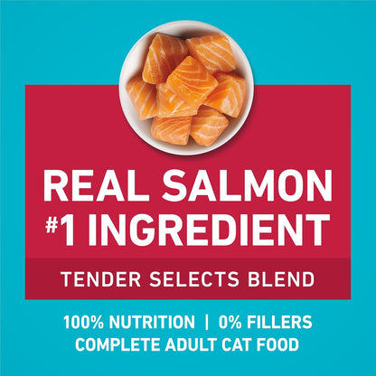 Purina ONE Tender Selects Dry Cat Food, Salmon, 7 Lb Bag