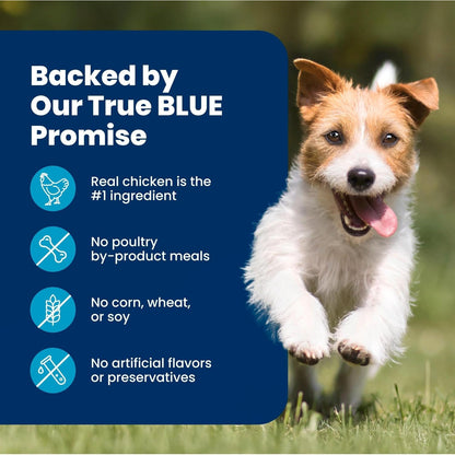 Blue Buffalo Life Protection Formula Chicken Small Breed Dry Dog Food, 5 Lb