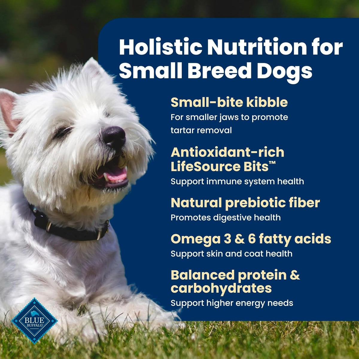 Blue Buffalo Life Protection Formula Chicken Small Breed Dry Dog Food, 5 Lb