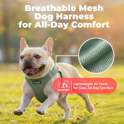 Voyager Step-In Air Dog Vest Harness - Moss Green, Small