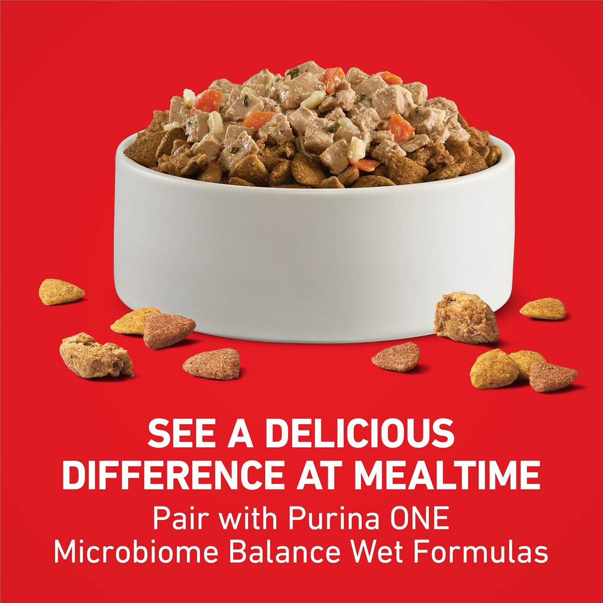 Purina ONE Lamb and Rice Formula Dry Dog Food for Digestive Support
