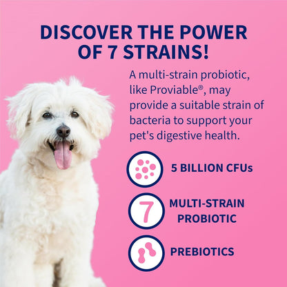 Nutramax Proviable Probiotics for Dogs & Cats, Sprinkle Capsules, 30Ct