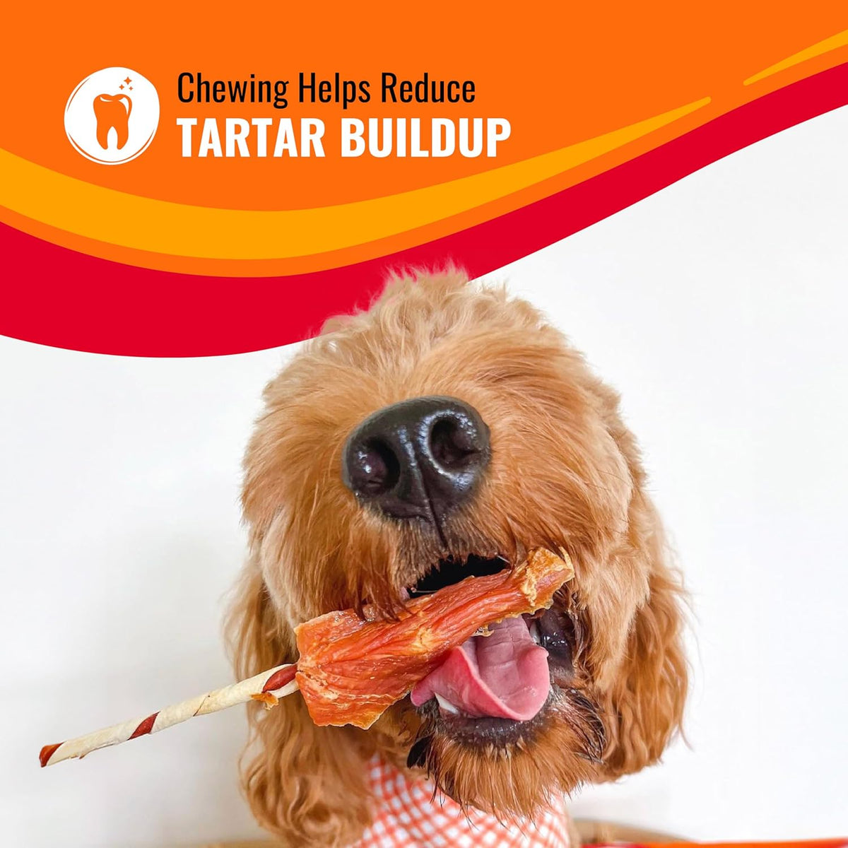 Good 'N' Fun Kabobs Long-Lasting Dog Treat Made with Real Protein, 24 Oz