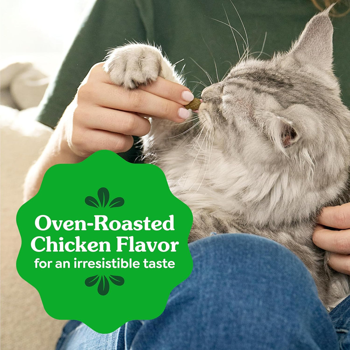 Greenies Feline Natural Dental Cat Treats, Roasted Chicken Flavor, 9.75 Oz