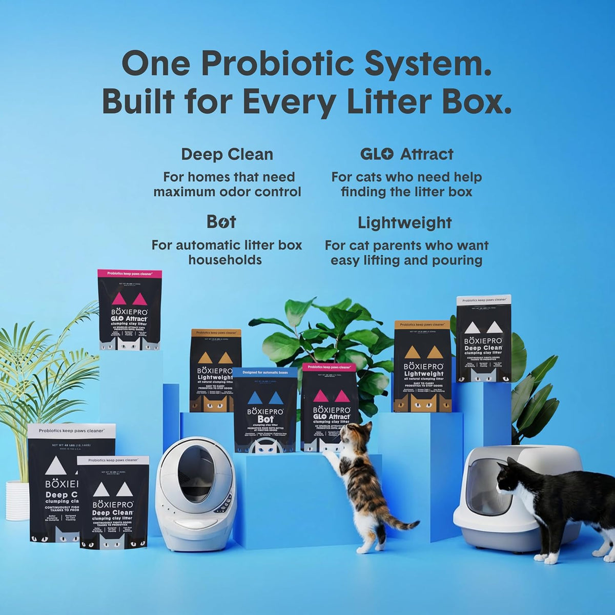 Boxie Probiotic Clumping Cat Litter 40+ Day Odor Control Dust Free 16 Lb