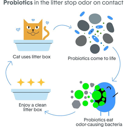 Boxie Probiotic Clumping Cat Litter 40+ Day Odor Control Dust Free 16 Lb