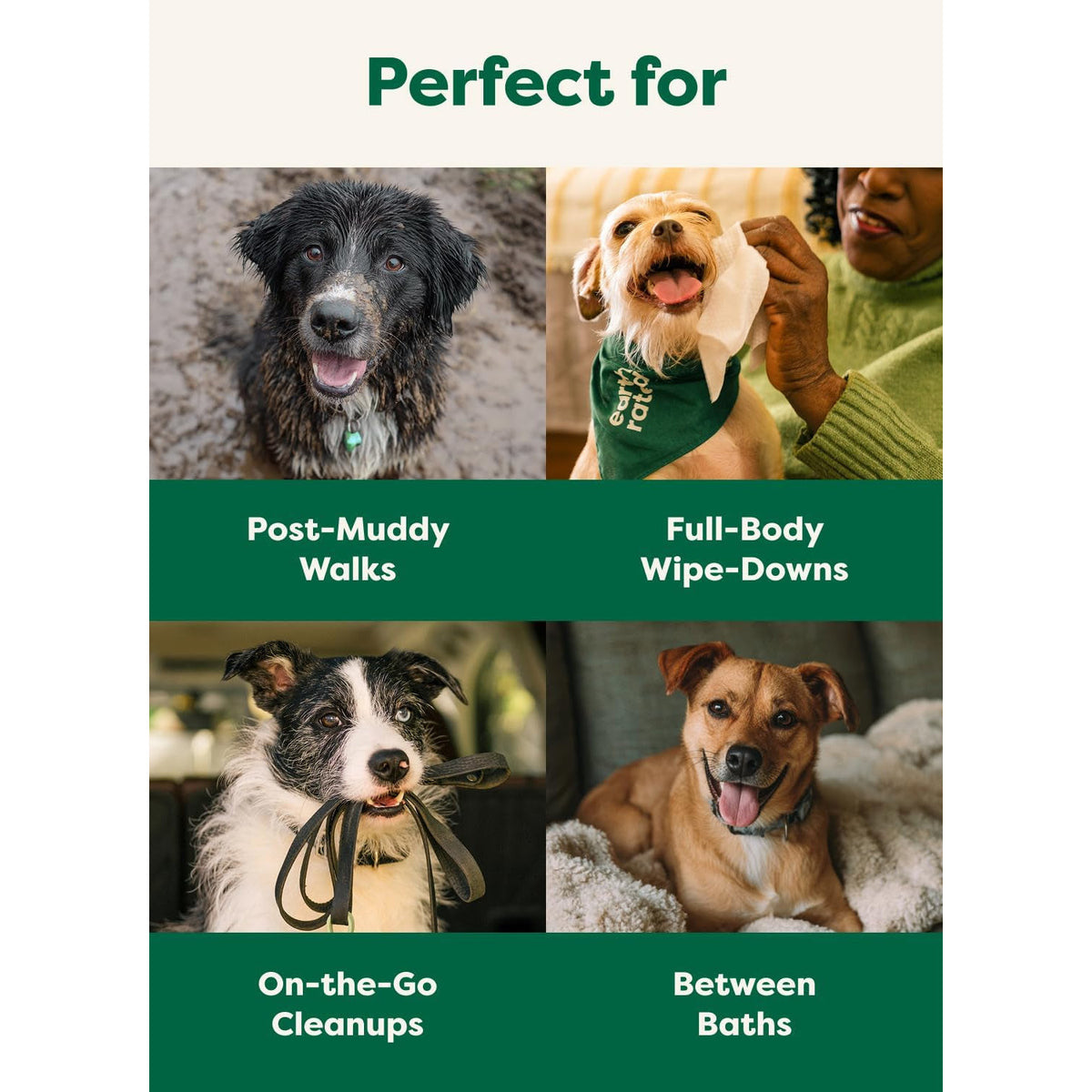Earth Rated Dog Wipes for Paws & Butt, Deodorizing, Unscented, 100Ct