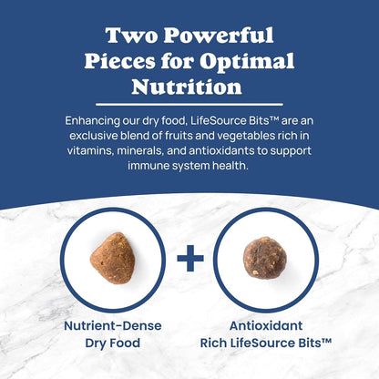 Blue Buffalo Life Protection Formula Chicken Small Breed Dry Dog Food, 5 Lb