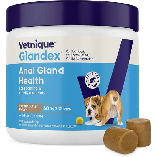 Vetnique Glandex for Dogs Anal Gland Chews 60Ct Pumpkin + Digestive Enzymes