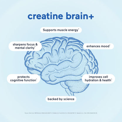mindbodygreen creatine Brain+ with Cognizin | 30 Unflavored Travel Sticks