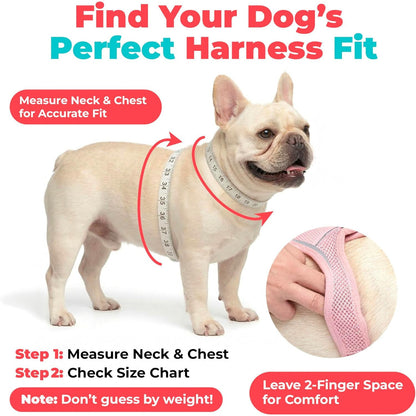 Voyager Step-In Air Dog Vest Harness - Moss Green, Small