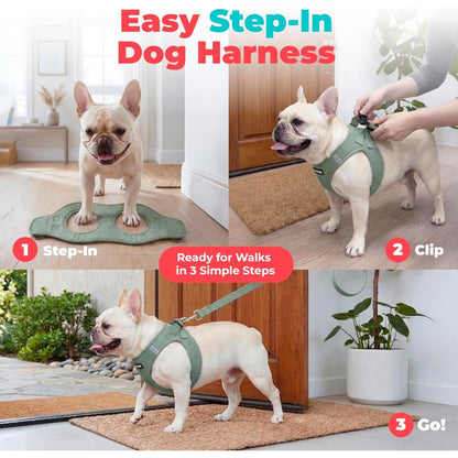Voyager Step-In Air Dog Vest Harness - Moss Green, Small