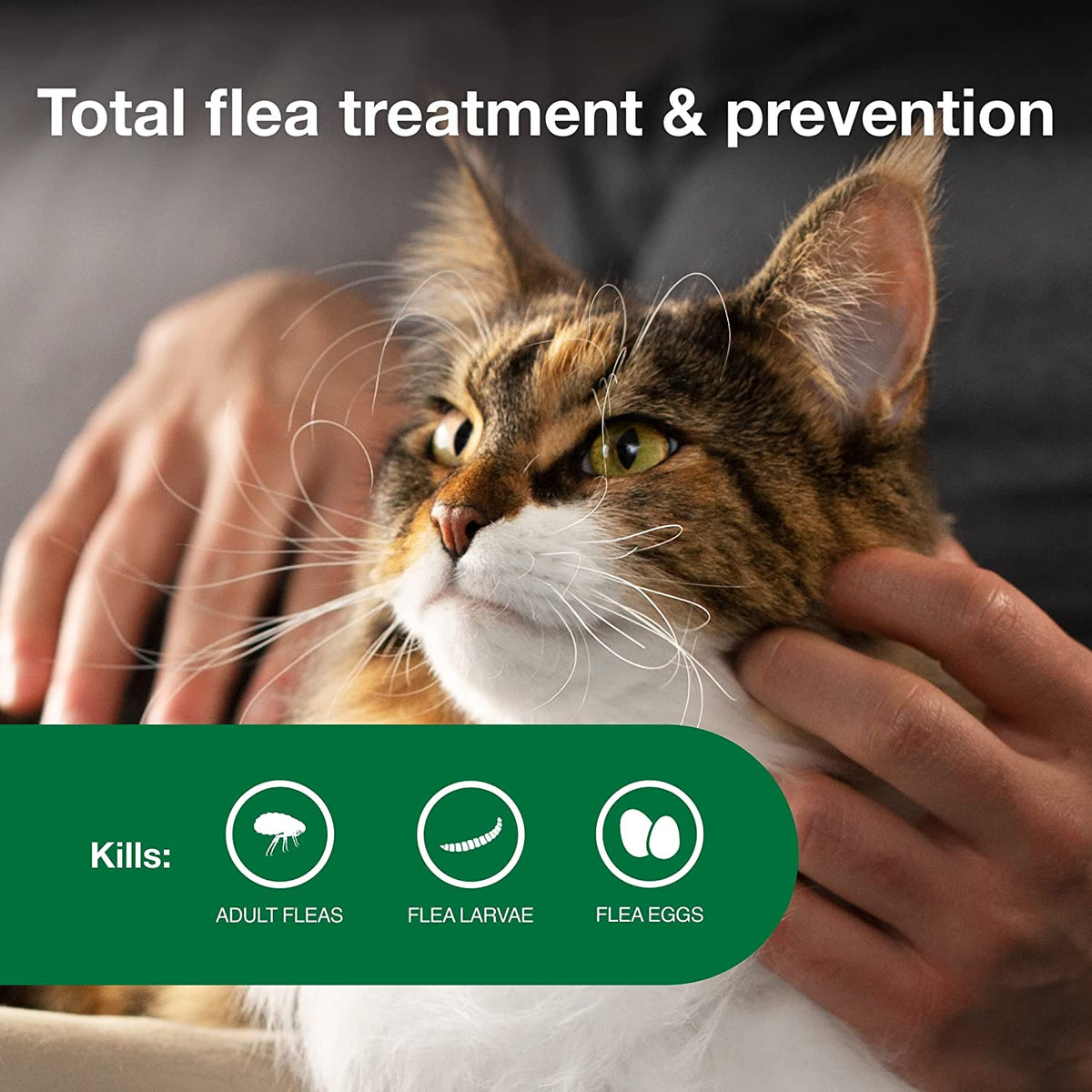 Advantage II Large Cat Topical Flea Treatment & Prevention, 2Ct