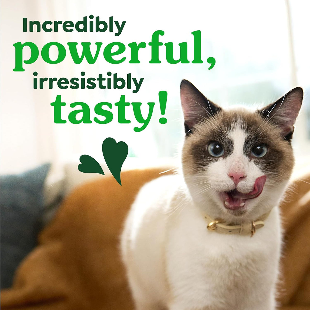 Greenies Feline Natural Dental Cat Treats, Roasted Chicken Flavor, 9.75 Oz