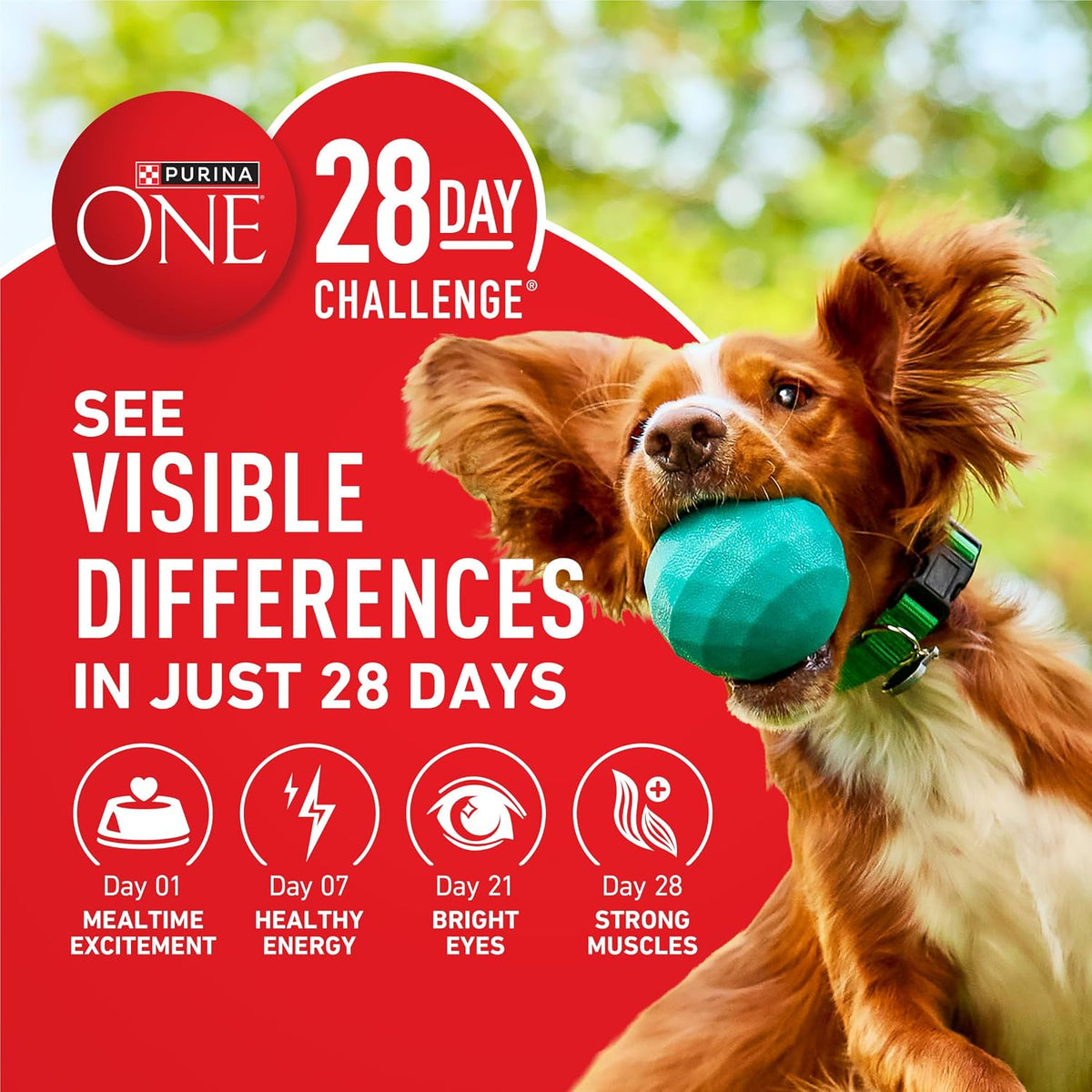 Purina ONE Chicken and Rice Formula Natural Dog Food