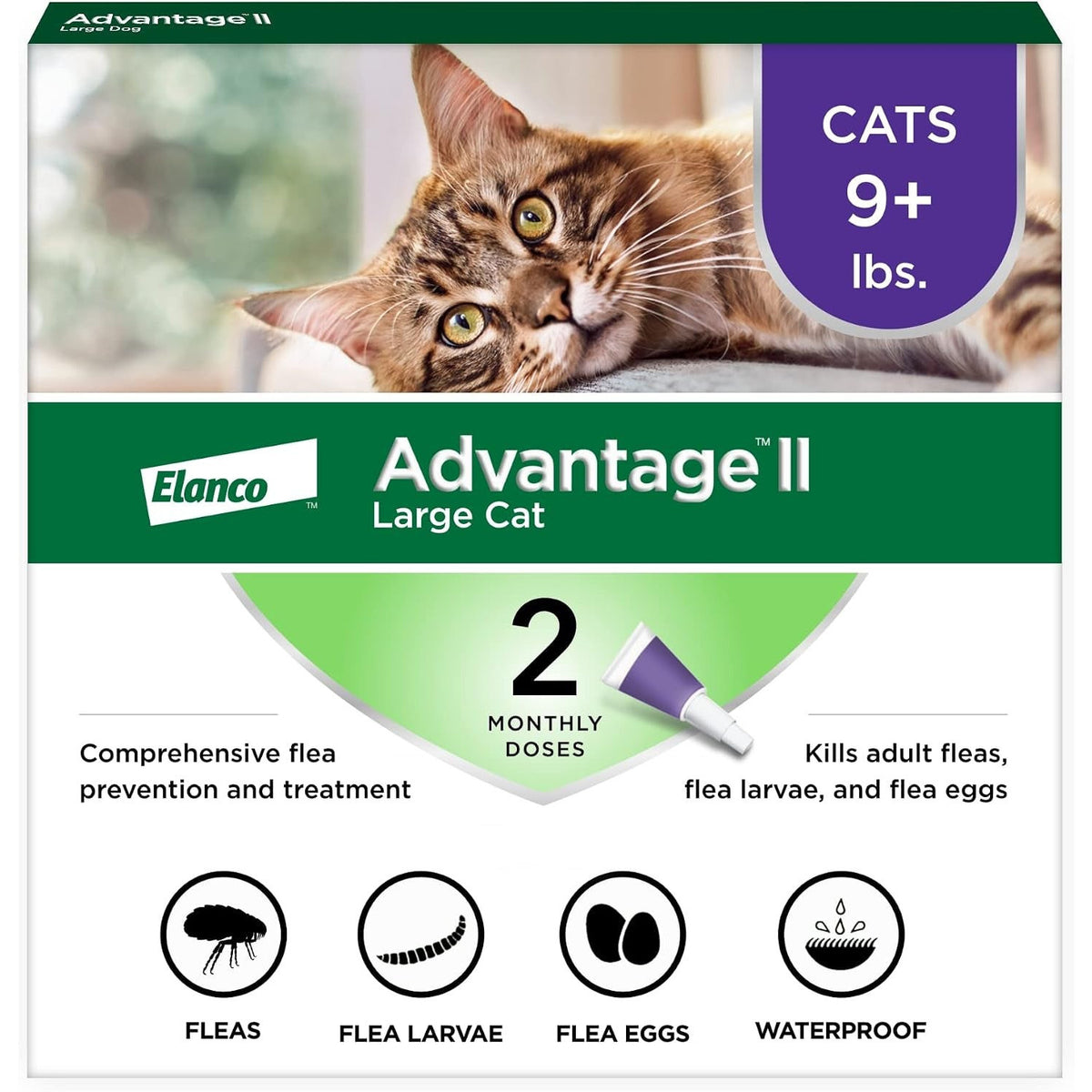 Advantage II Large Cat Topical Flea Treatment & Prevention, 2Ct