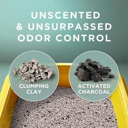 Purina Tidy Cats Free and Clean Unscented Clumping Cat Litter, 38 Lb Box