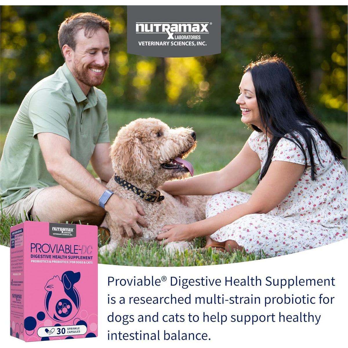 Nutramax Proviable Probiotics for Dogs & Cats, Sprinkle Capsules, 30Ct