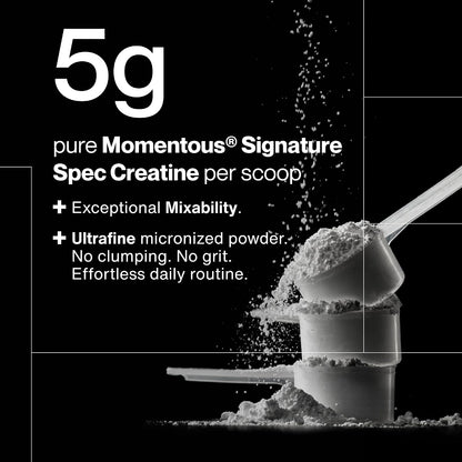 Momentous Creatine Monohydrate Powder, 5G per Serving, Unflavored 90 Servings