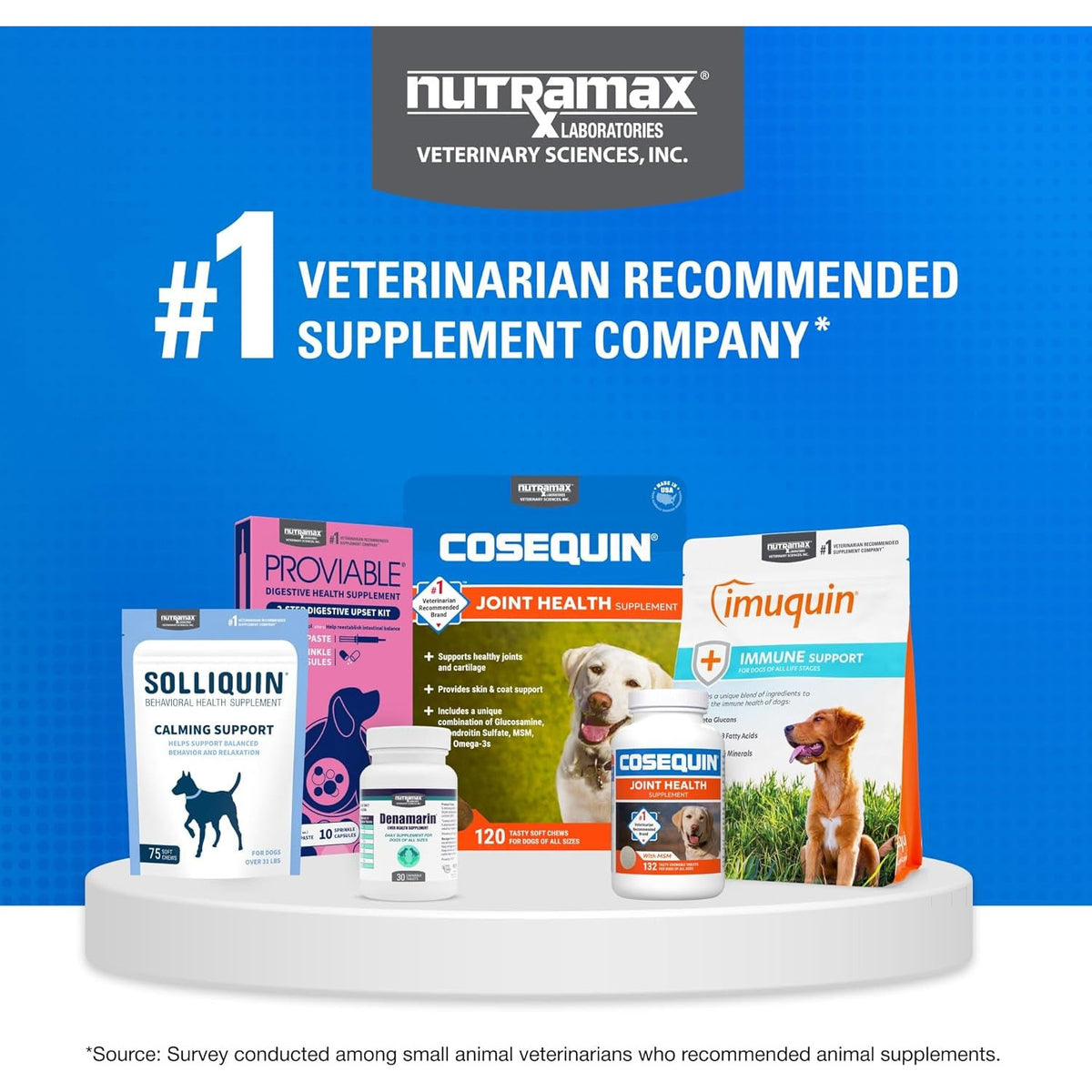 Nutramax Cosequin Joint Supplement for Dogs, Chewable Tablets, 132Ct