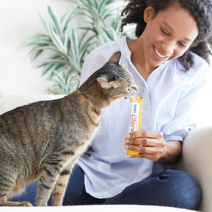 INABA Churu Lickable Cat Treats Tuna & Chicken with Taurine & Green Tea Extract 50 Tubes