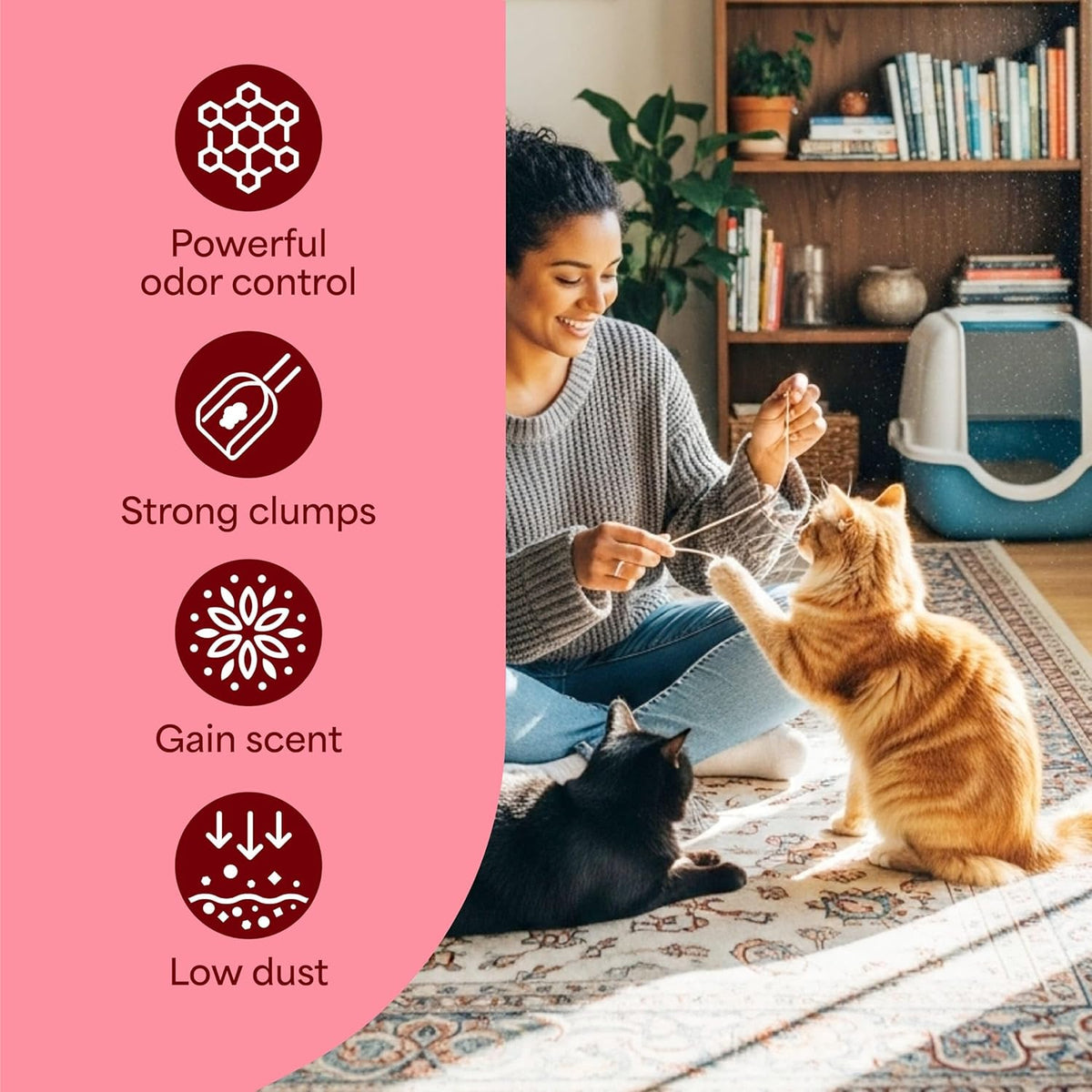 Fresh Step Advanced Odor Shield Clumping Cat Litter with Gain, 18.5 Lb, 2Pk