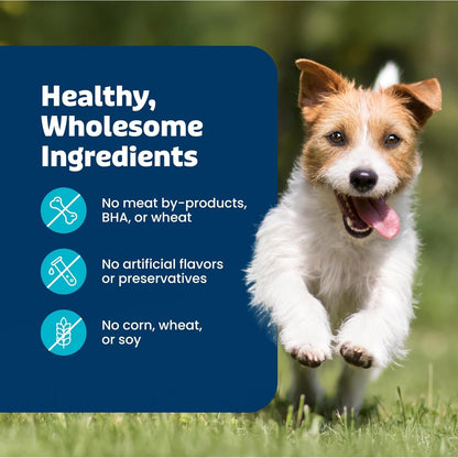 Blue Buffalo Health Bars Pumpkin & Cinnamon Dog Biscuits, 16 Oz