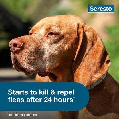 Seresto 8-Month Flea & Tick Collar for Large Dogs over 18 Lbs., 1Ct