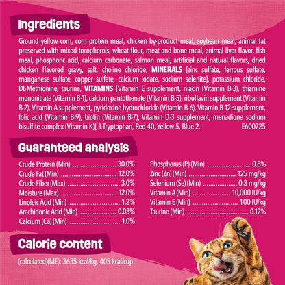 Purina Friskies Gravy Swirlers Dry Cat Food, Chicken & Salmon, 3.15 Lb Bag