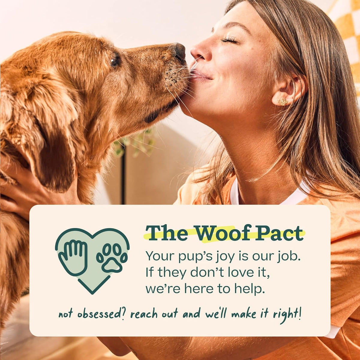 WOOF Pupsicle Peanut Butter & Beef Refill Pops Dog Treats, Large, 7 Count