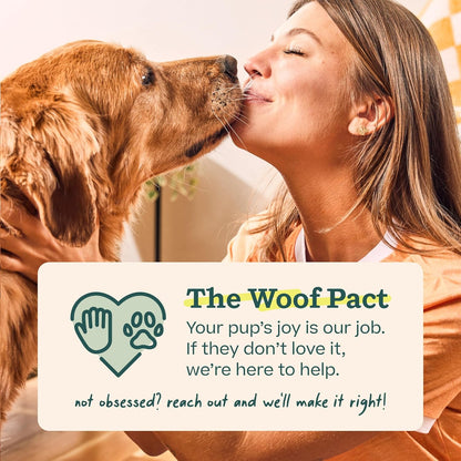 WOOF Pupsicle Peanut Butter & Beef Refill Pops Dog Treats, Large, 7 Count
