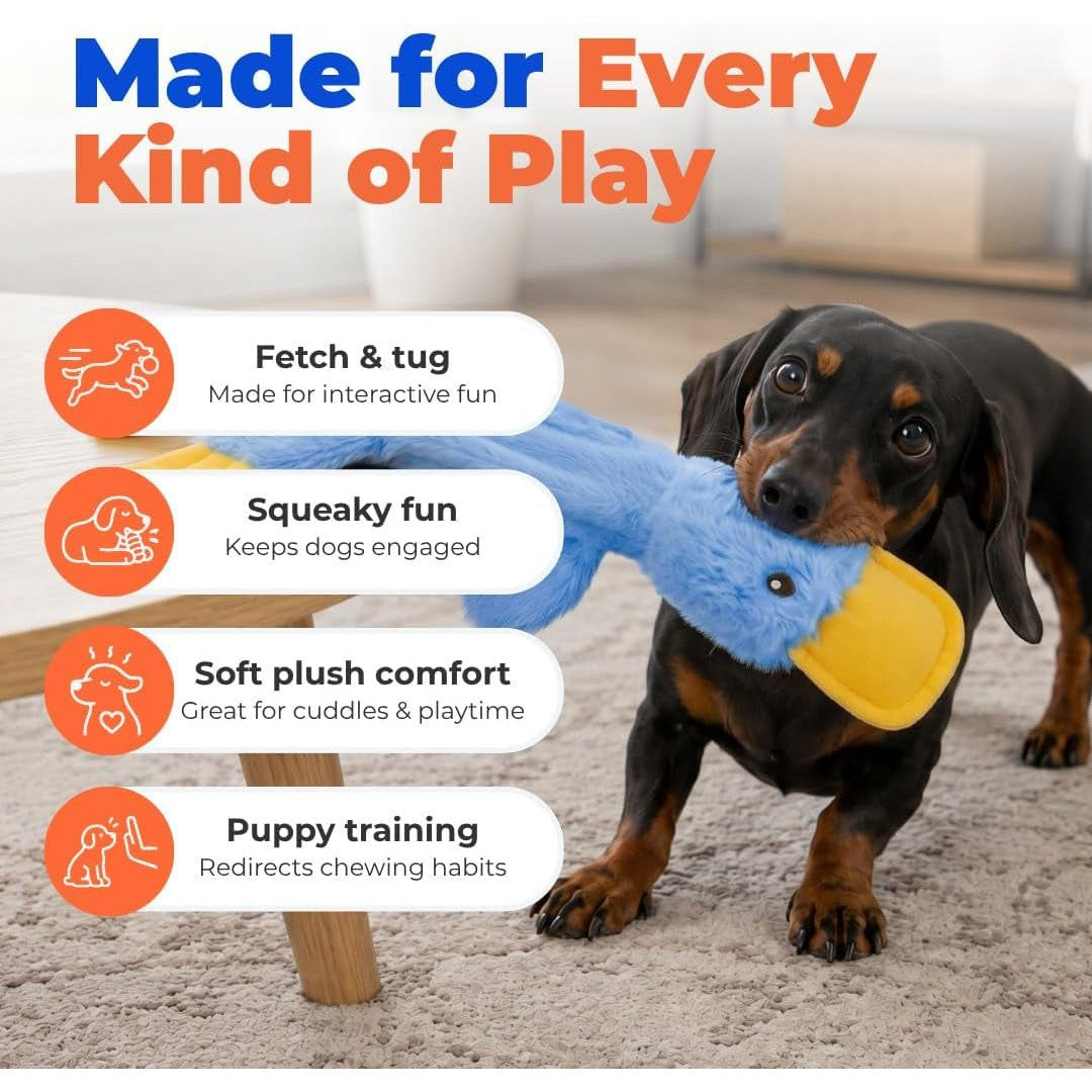 Best Pet Supplies Interactive Squeaky Dog Toy - Crinkle Duck, Blue