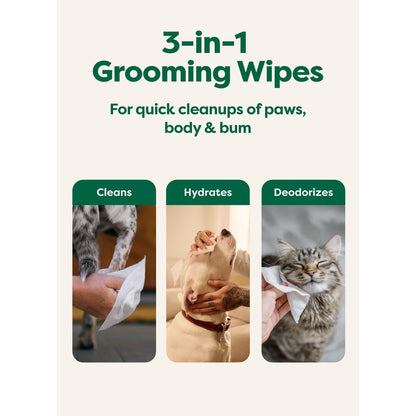 Earth Rated Dog Wipes for Paws & Butt, Deodorizing, Unscented, 100Ct