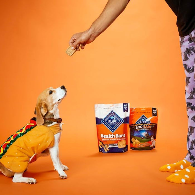 Blue Buffalo Health Bars Pumpkin & Cinnamon Dog Biscuits, 16 Oz