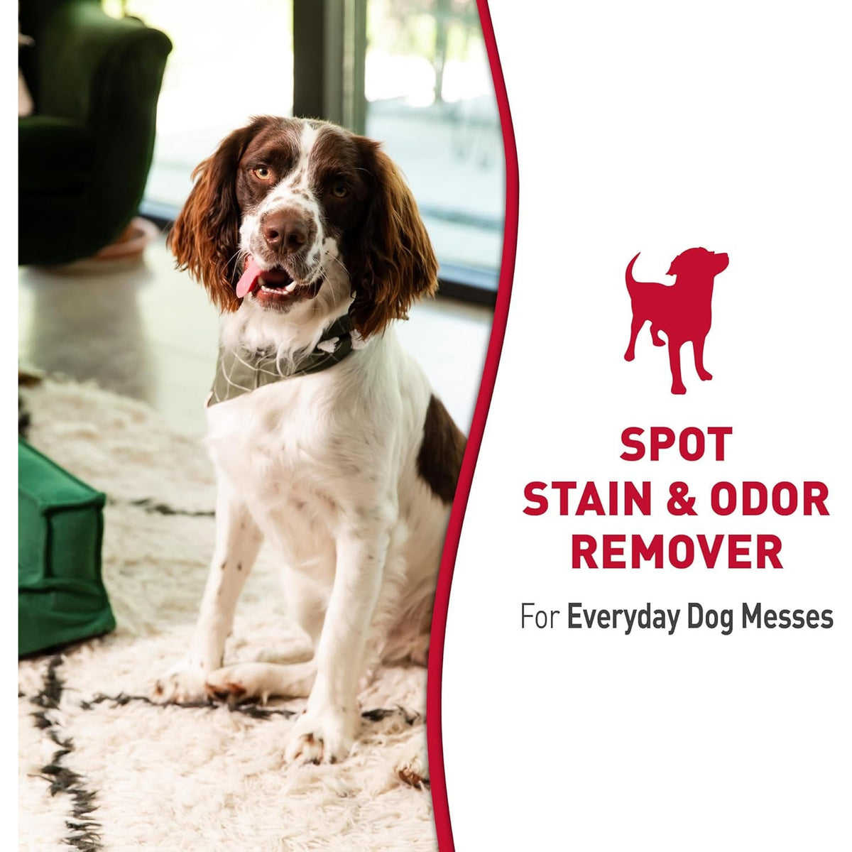 Nature’S Miracle Dog Stain & Odor Remover, Enzymatic Cleaner, 32 Oz