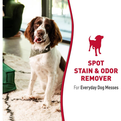 Nature’S Miracle Dog Stain & Odor Remover, Enzymatic Cleaner, 32 Oz