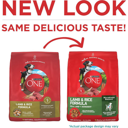 Purina ONE Lamb and Rice Formula Dry Dog Food for Digestive Support